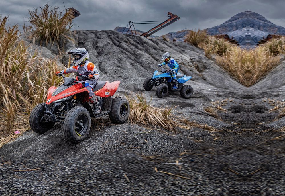 cforce 110 action