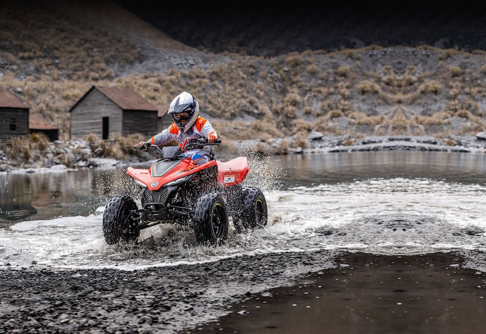 cforce 110 action