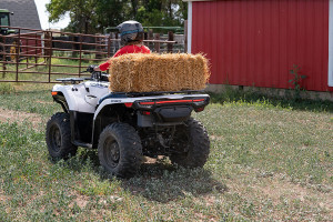 2022 cfmoto cforce 450