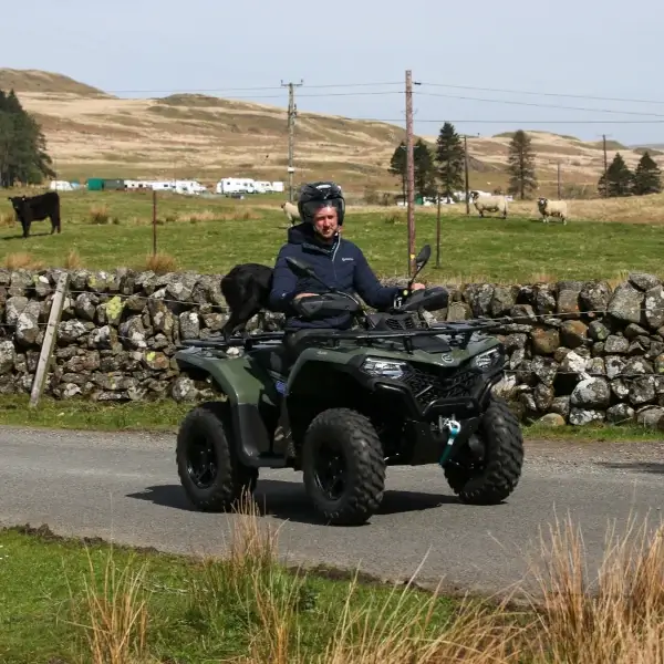A person wearing a helmet rides an ATV on a rural road with a black dog on the vehicle; fields, cows, and stone walls are in the background.