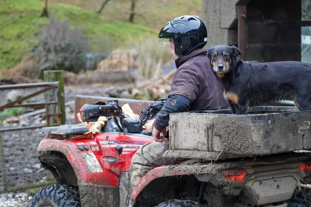 A person wearing a helmet sits on a muddy red ATV loaded with firewood, while a black dog stands on the back of the vehicle. Regular ATV maintenance keeps this rural adventure running smoothly in the rugged outdoors.