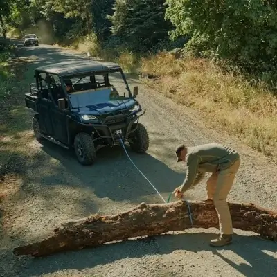 estate management