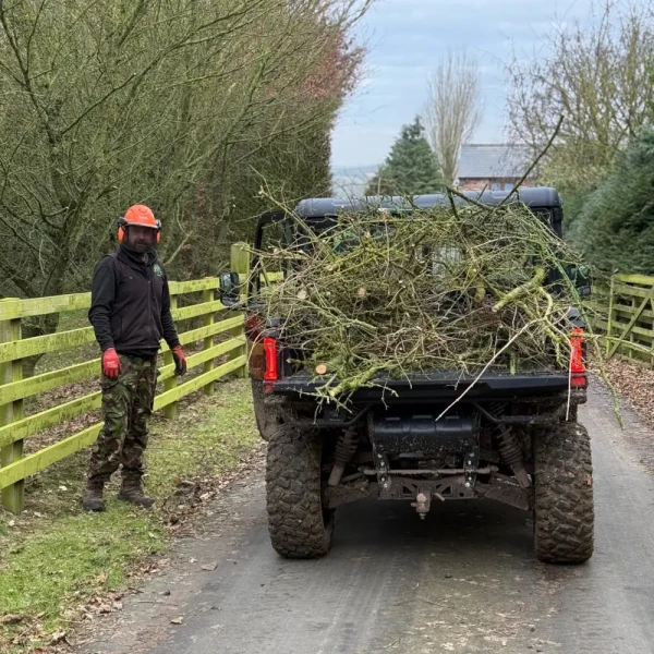 Forestry work vehicle Forestry work vehicle