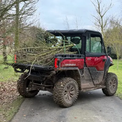 forestry