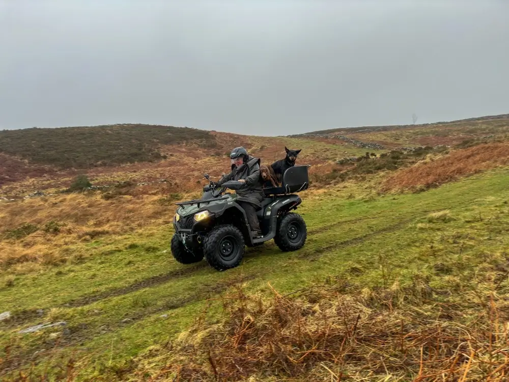 A person, following proper ATV maintenance, drives an ATV along a grassy trail in a hilly landscape, with a dog sitting upright in the seat behind them.
