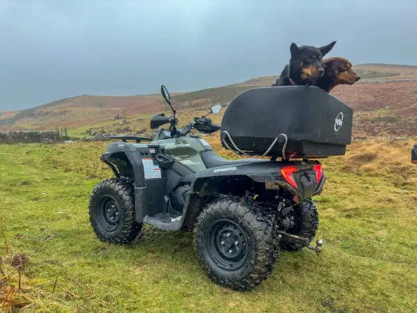 An all-terrain vehicle is parked on grassy terrain, with two dogs in a black box attached to the rear of the ATV. If you’re wondering, “is an ATV worth it?”—just look at this adventure-ready scene under an overcast sky.