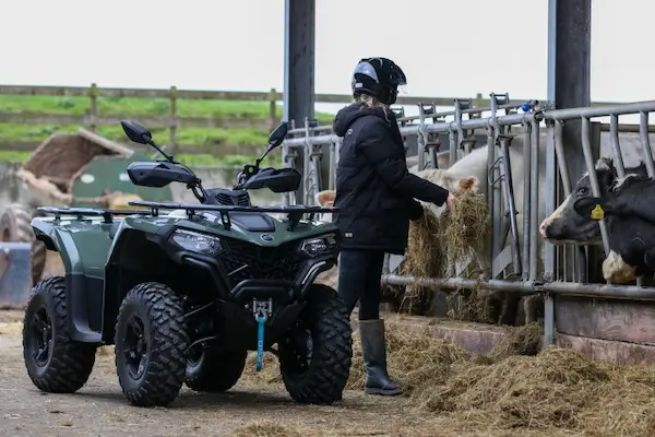 A person wearing a helmet and boots stands by a feeding stall, giving hay to cows, with an ATV parked nearby inside a barn—showing firsthand why many farmers ask, “is an ATV worth it?”.