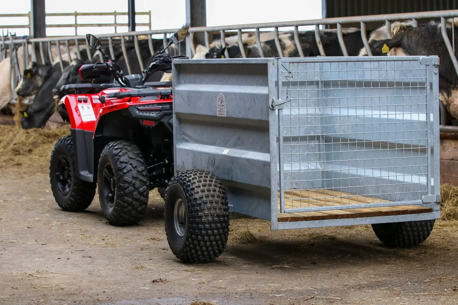 A red ATV is securely attached to a metal trailer with cage sides inside a barn, with cows visible in the background, offering a perfect setting to contemplate how to ride your quad safely and responsibly.