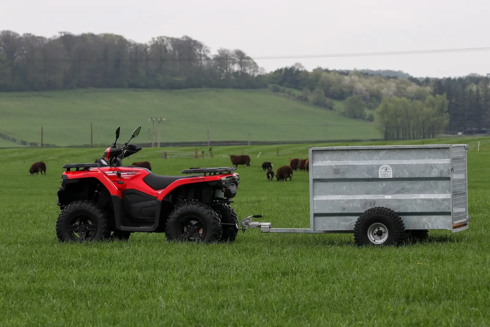 A red ATV is parked in a grassy field, attached to a metal trailer. As cows graze peacefully nearby, trees and hills form the backdrop—reminding you to learn how to ride your quad safely amidst such serene landscapes. 