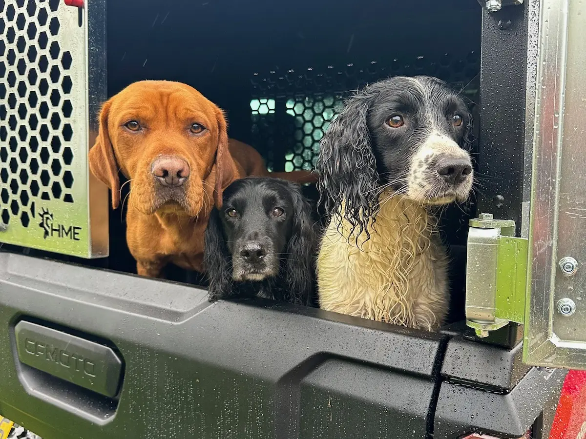 Three dogs, one brown and two black-and-white, sit side by side inside a metal kennel with the door open, looking outward—ready for adventure in the back of a UFORCE U10 PRO XL.